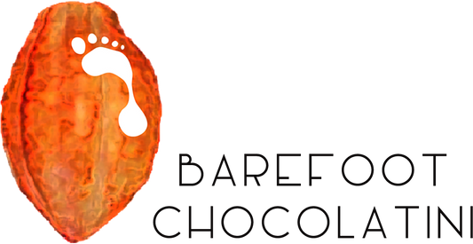 Private Hawai'i Drinking Chocolate Flight Experience